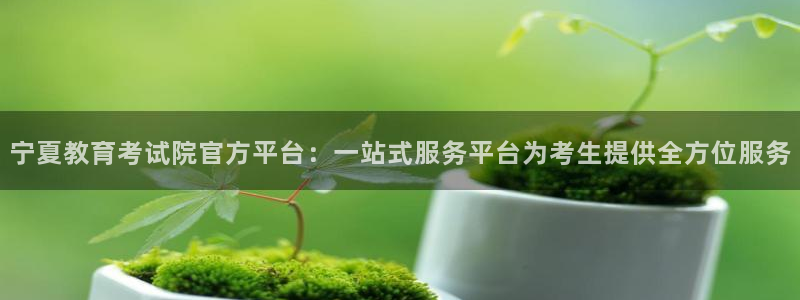 安信122853179Z空间