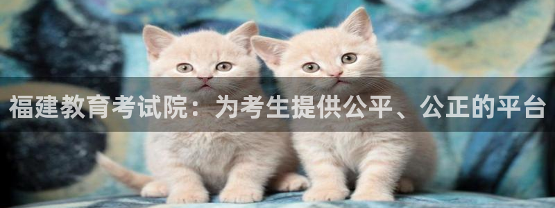 安信12是什么平台