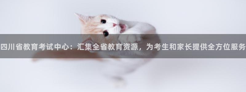 安信12娱乐主管