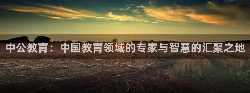 安信12娱乐主管