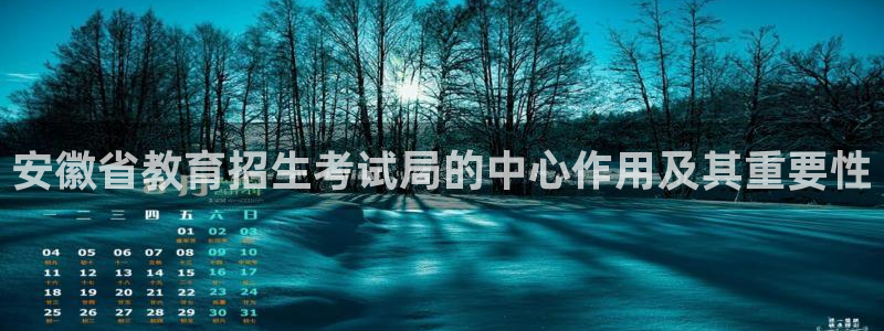 安信12是什么