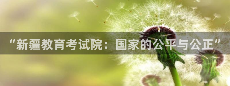 安信12彩票app下载