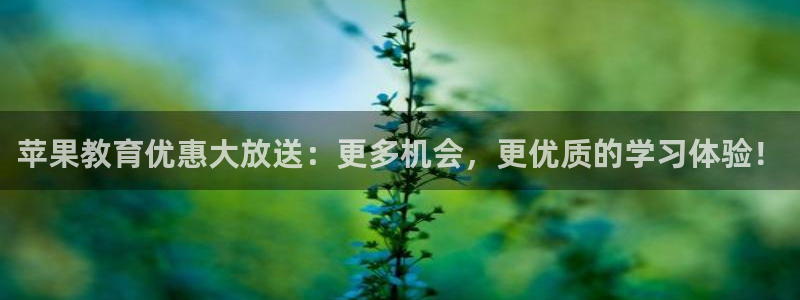 安信12是什么软件