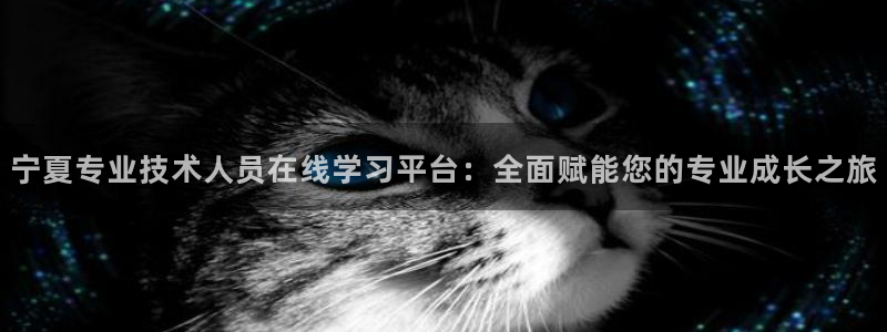 安信可12e12f
