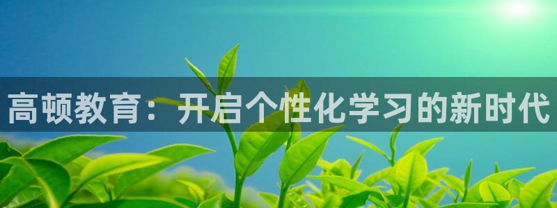 安信安赢12号
