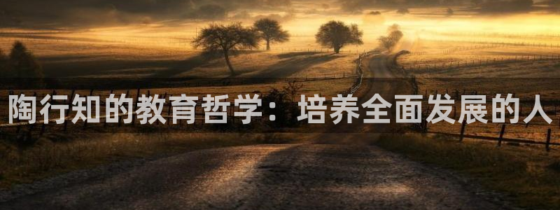 安信可wb12