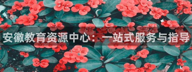 安信可f12