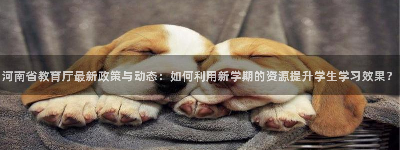 安信12是做什么