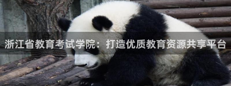 安信12平台怎么样