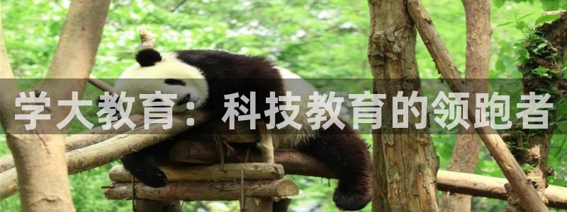 安信12