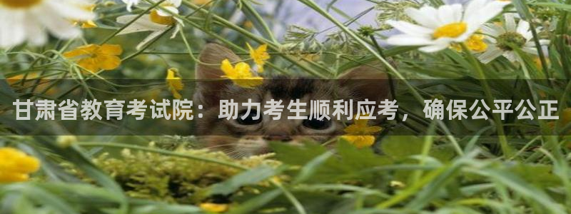 信安12