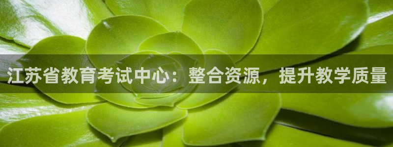 安信122853179Z空间