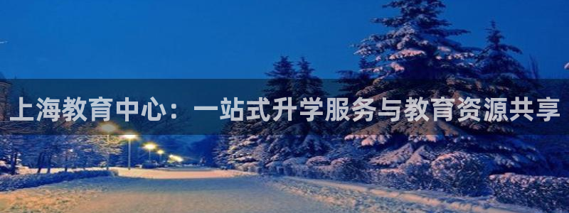 安信12赛车