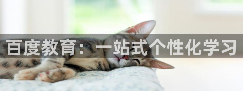 安信12如何开代理