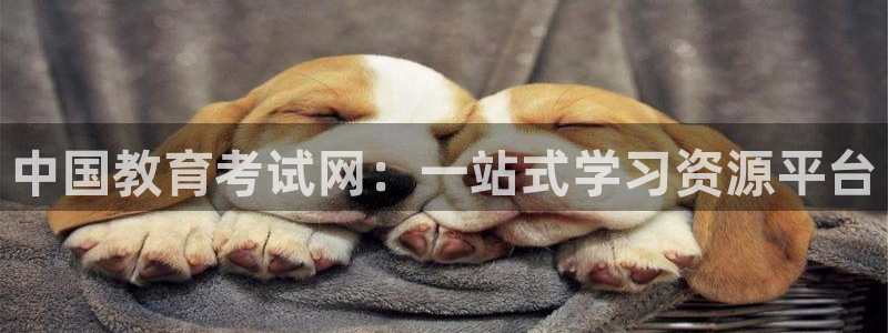 安信12是正轨网站吗