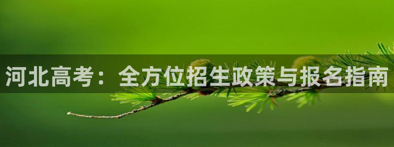 安信12娱乐主管