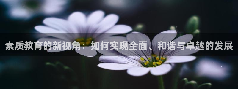 安信12娱乐代理