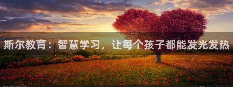 安信可f12