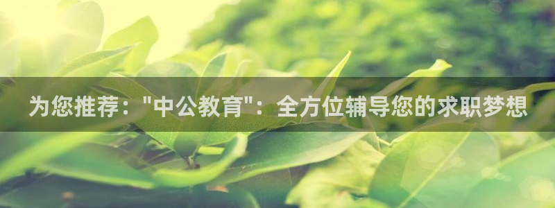 安信312 12