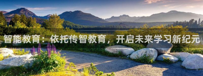 安信证券手机壳12