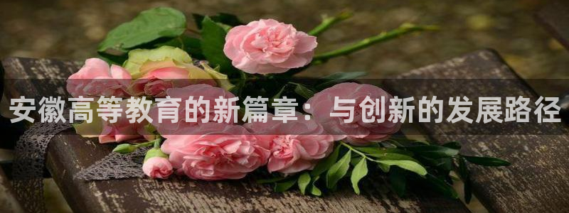 安信12是什么平台