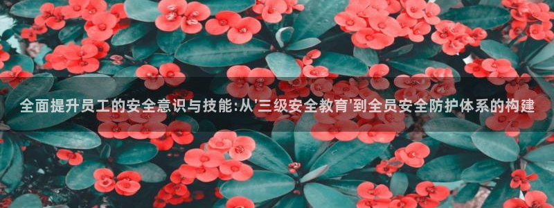 安信12招商