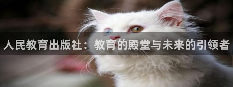 安信12app