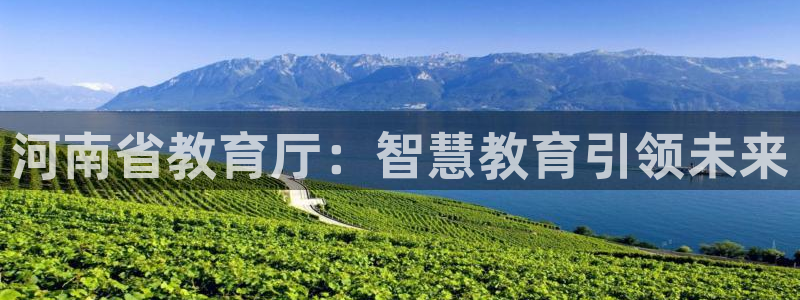 安信12是正规平台吗