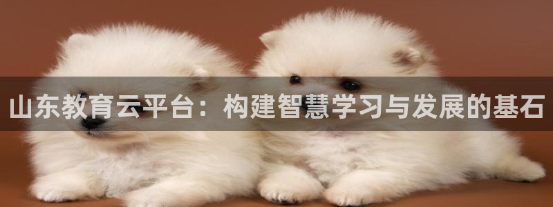 安信12娱乐代理