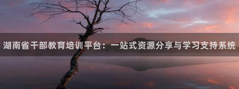 安信12彩票app下载