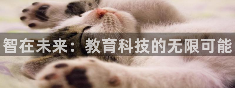 安信cw12系列