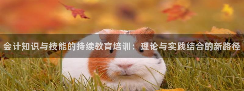 安信12位资金账号