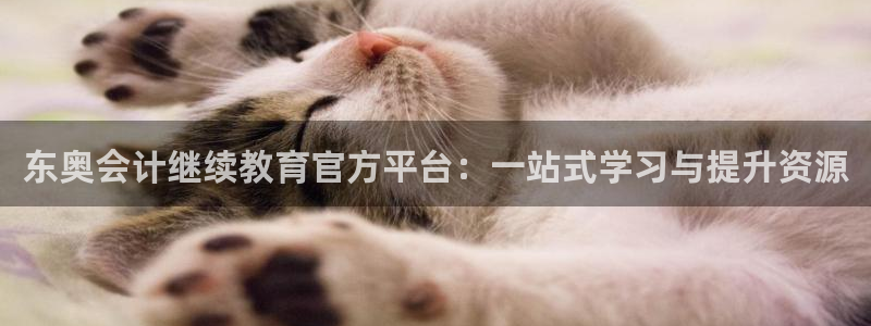 安信可12f