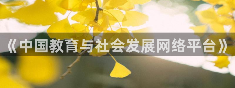 安信12平台
