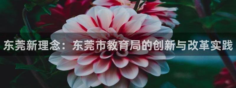 安信12app下载