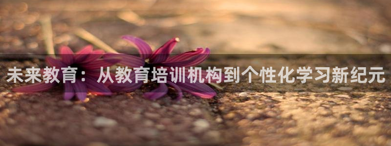 安信12级粉丝团福利