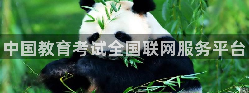 安信12是正规平台吗