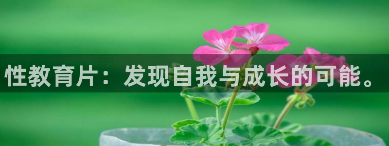 安信可wb12
