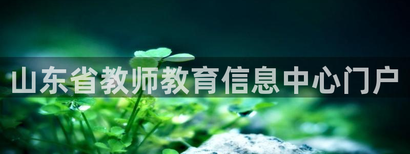 安立信12改装