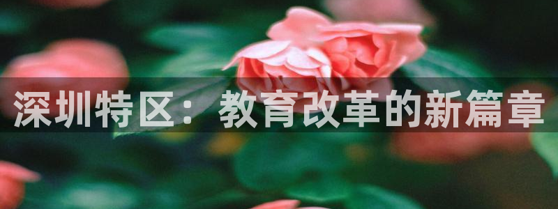 安信卓越12月