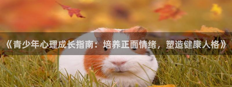 安信12开户