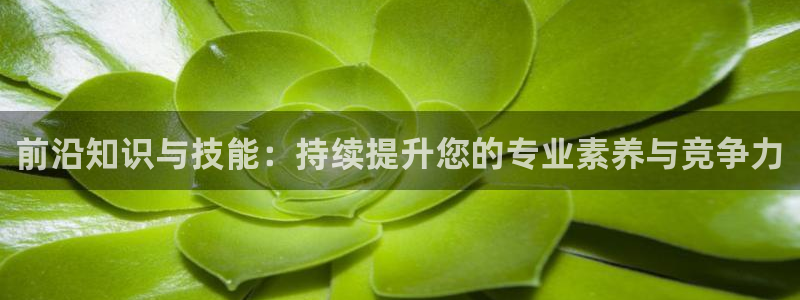 安信12平台的网址