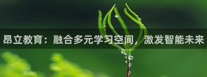 安信12娱乐招商