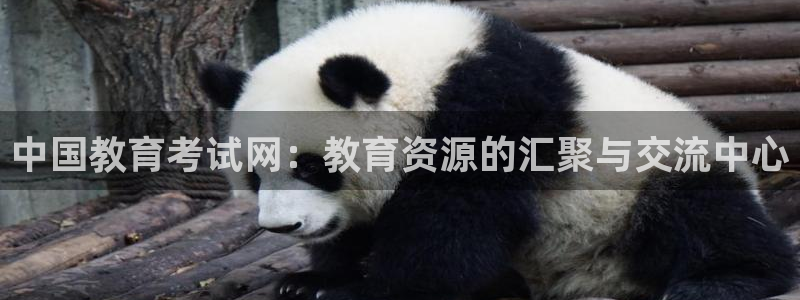 安信12娱乐