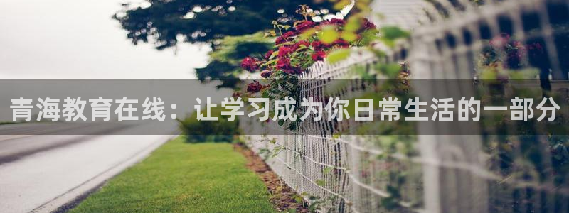 安信信托12 期