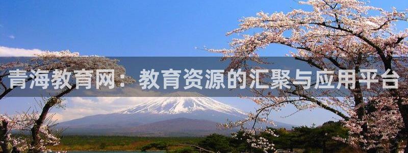 安信12平台官网