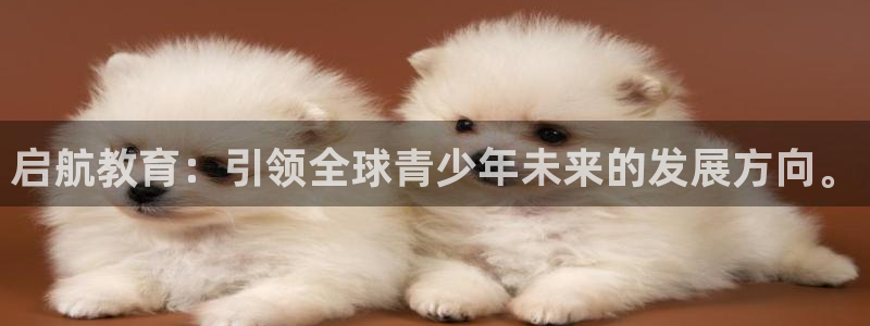 奇安信12流转场