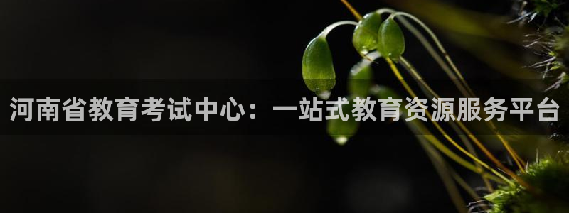 安信12是什么软件