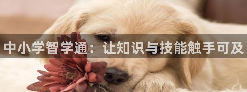 安信主管ke金12手12指ho