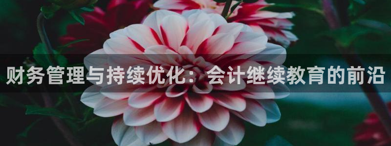 安信4娱乐去55 12